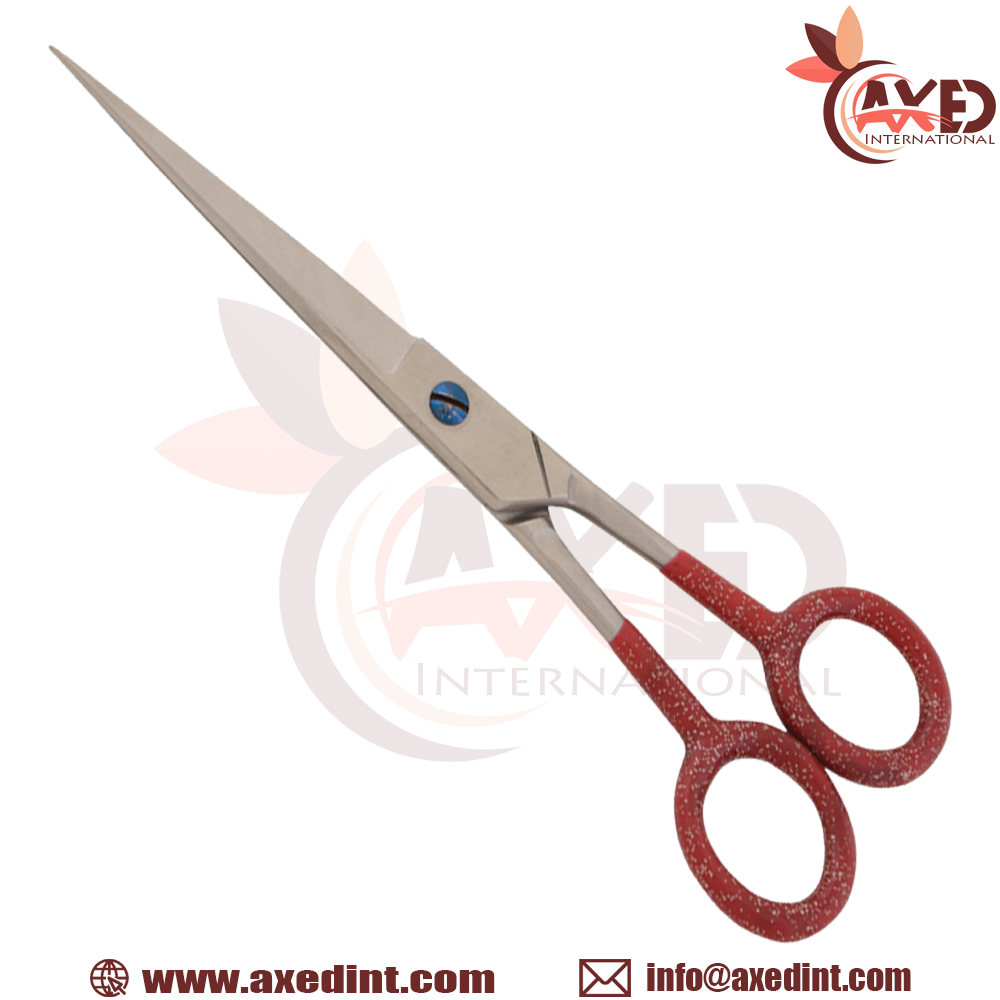 Economy Barber Scissors