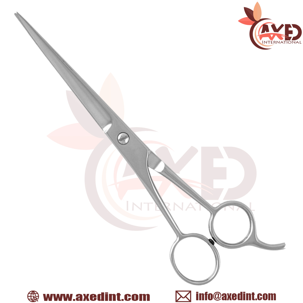 Economy Barber Scissors