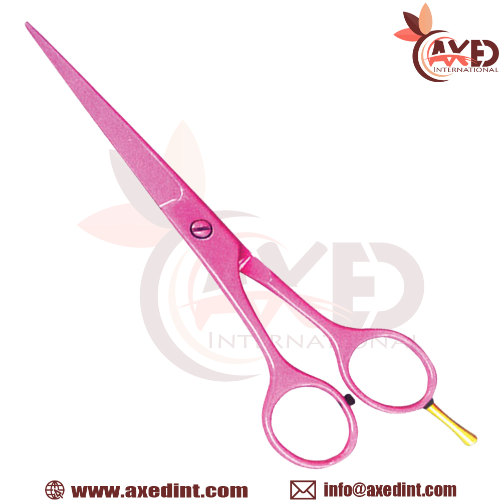 Economy Barber Scissors