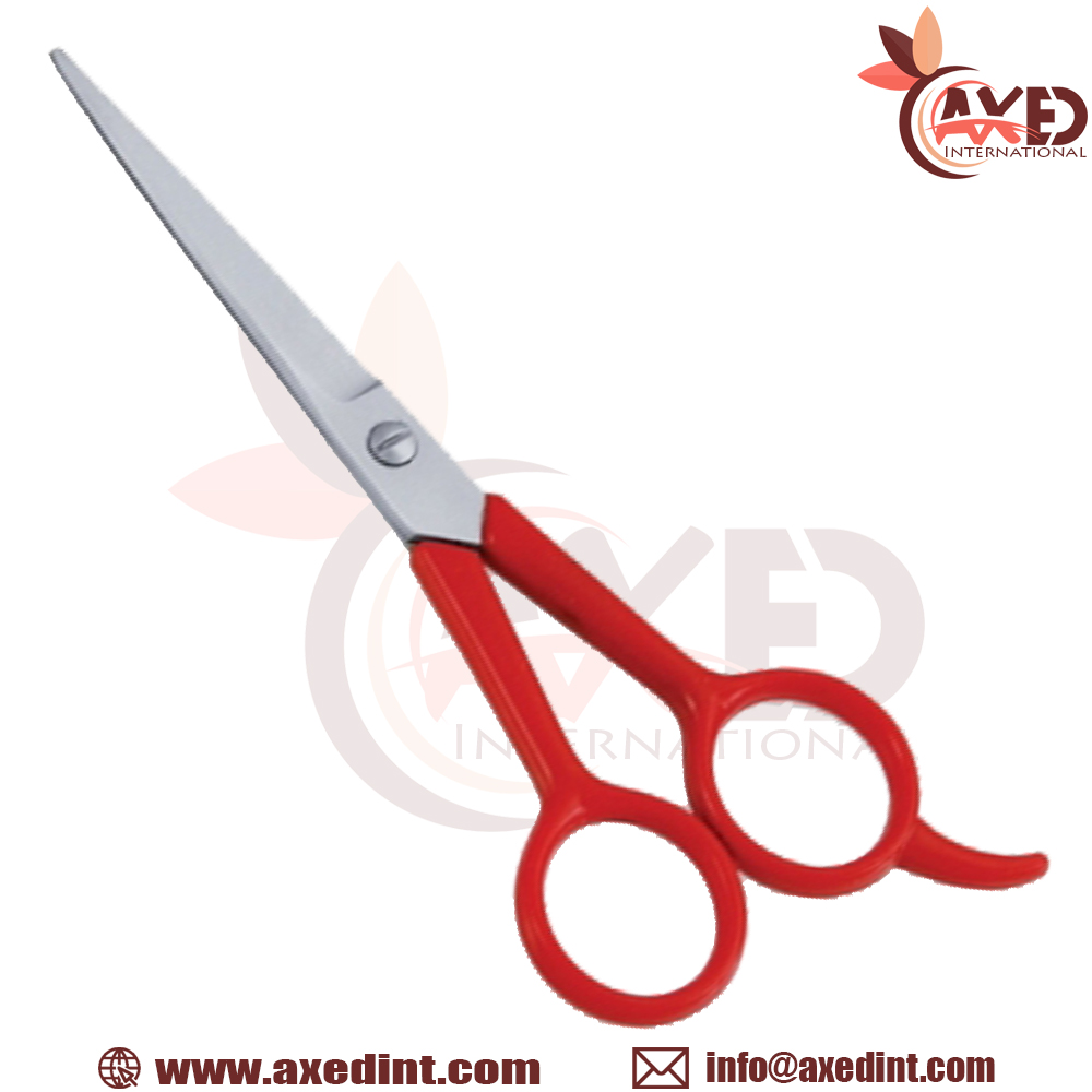 Economy Barber Scissors